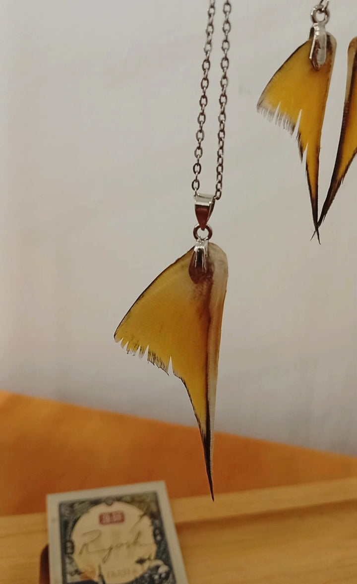 Ryoshi collar atún