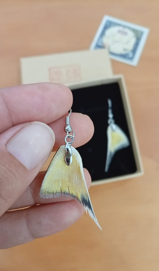 Ryoshi pendientes alitas