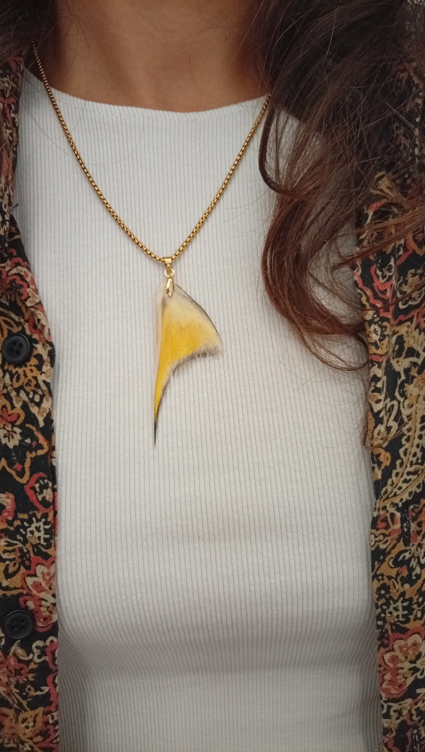 Ryoshi collar atún