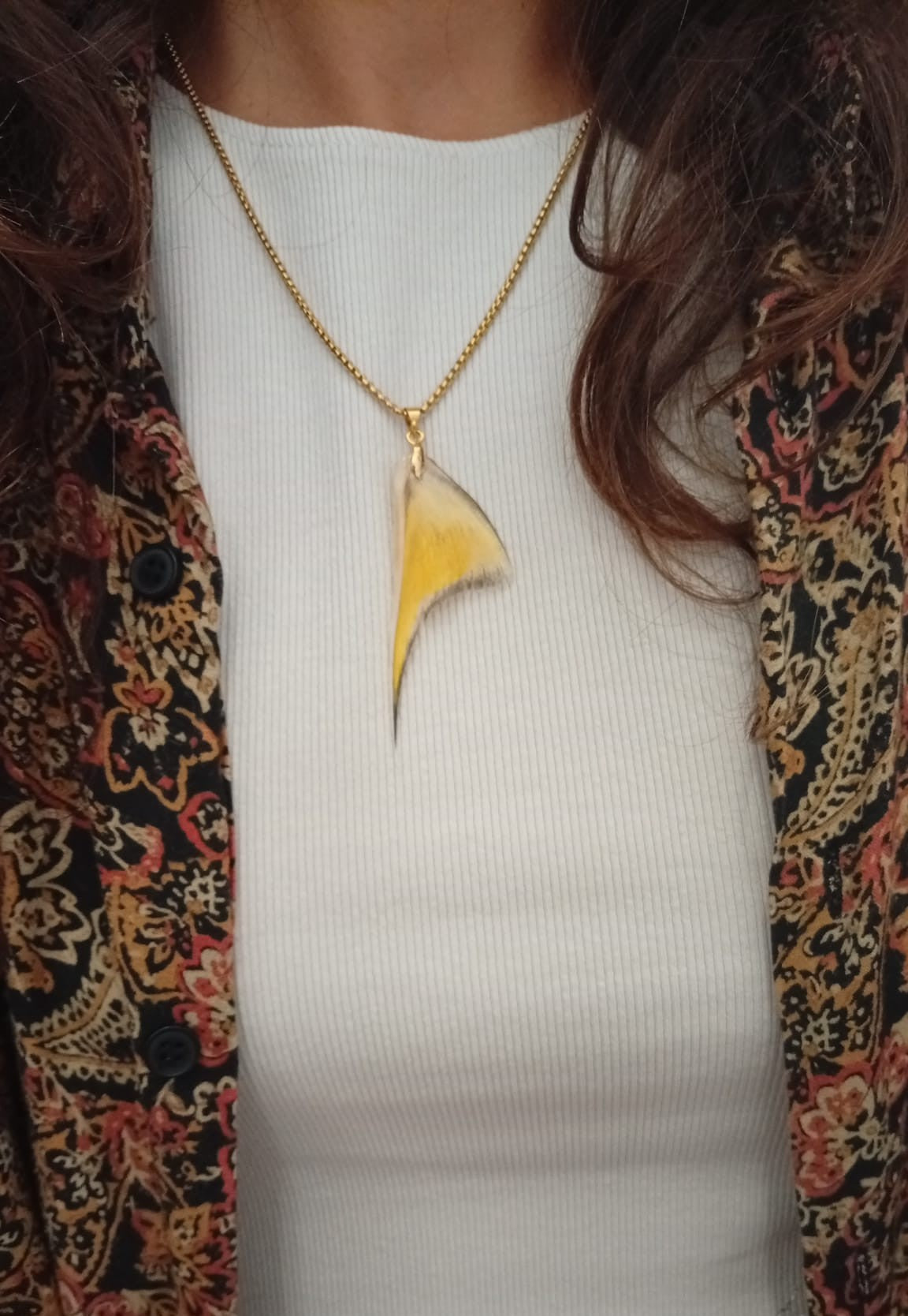 Ryoshi collar alitas