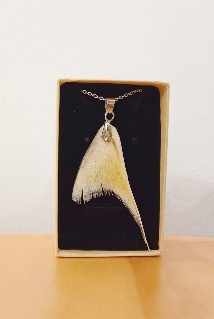 Ryoshi collar alitas